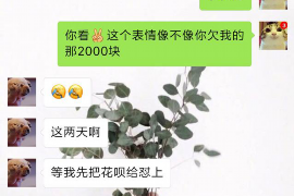 余江企业清欠服务